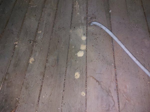 Sciure (ou vermoulure) sur le plancher en bois d’un grenier infesté par un insecte xylophage